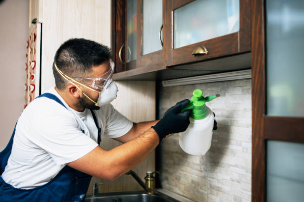 Best Cockroach Control Services  in Tawas City, MI