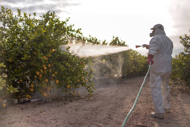 Best Pest Control Near Me  in Tawas City, MI