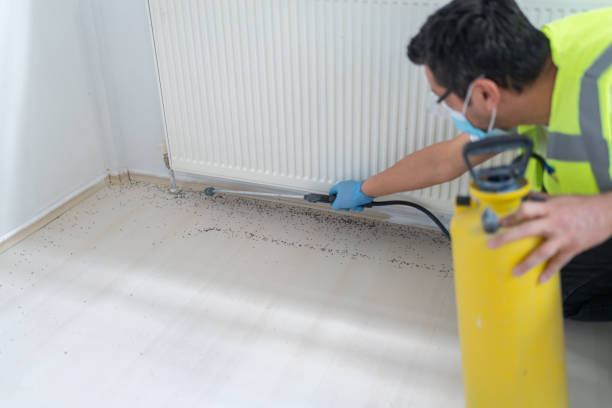 Best Ant Control Services  in Tawas City, MI