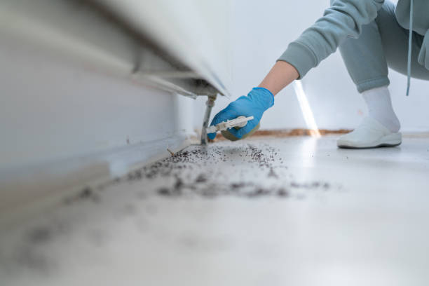 Best Termite Control Services  in Tawas City, MI