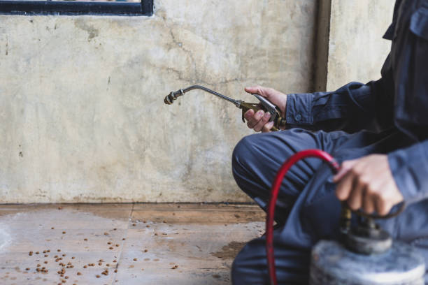 Best Pest Control for Businesses  in Tawas City, MI