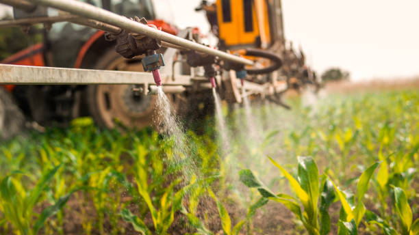 Professional Pest Control in Tawas City, MI