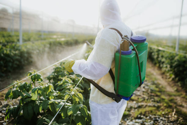 Best Exterminator Services  in Tawas City, MI